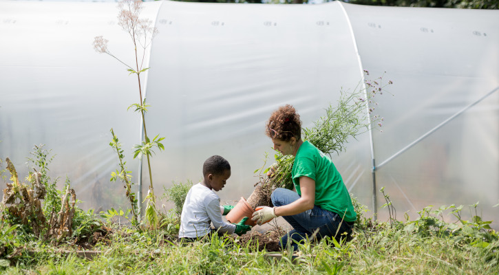 Trinity Centre Community Garden