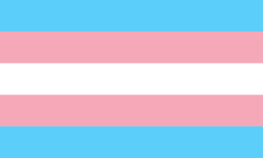 Trans-pride-flag