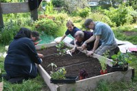 Funding to reap the benefits of community gardening
