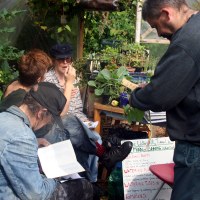 Join the Garden Management Committee