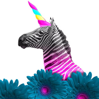 Ecstatic Prance 