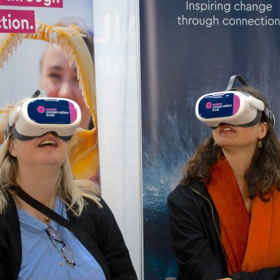 Ocean Advocate Summit